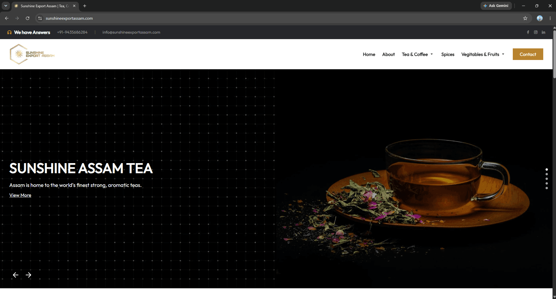 Sunshine Export Assam - Business Websites built by RSIO in Assam
